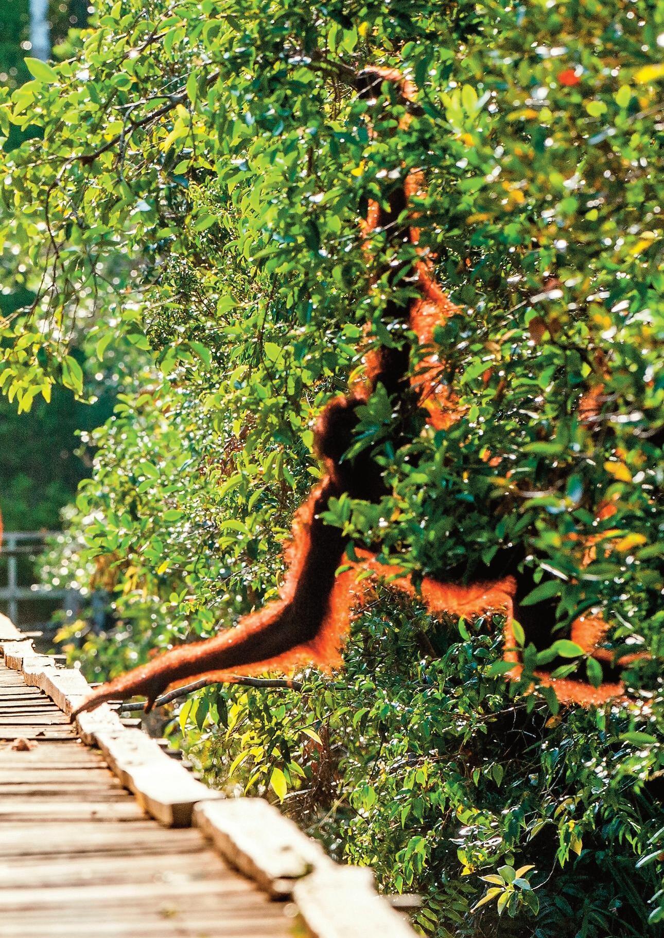 Urbes magazine 7-2024 by raffaelecreativagroupcom - Issuu