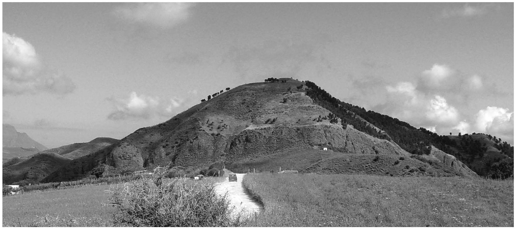 Una phiale d'oro iscritta dall'entroterra di Himera