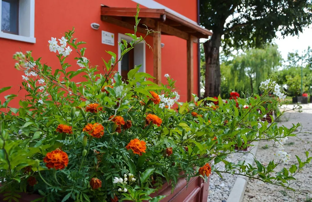 Agriturismo Ca' La Pergola-1
