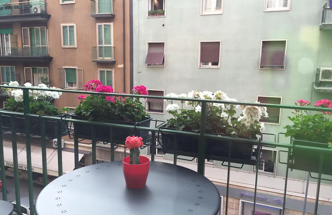 Domus Mea (Adults Only)-1