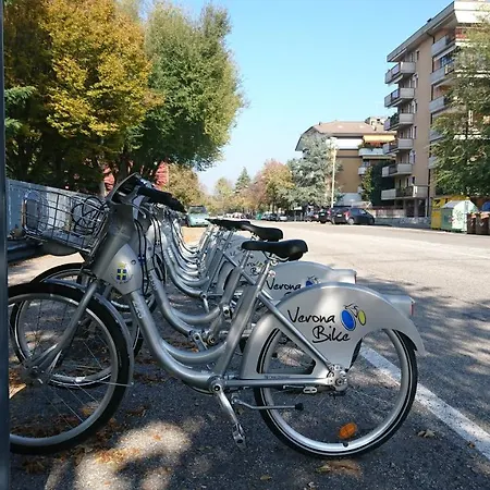 Lamoka Verona-2