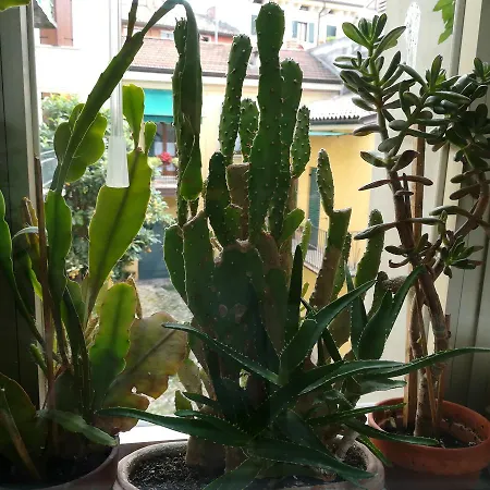 A casa di Luca-3