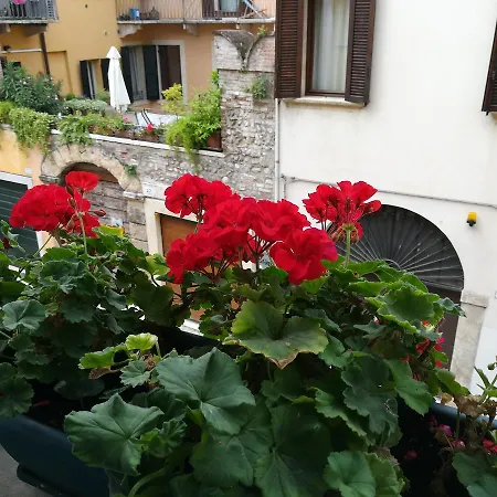 A casa di Luca-2